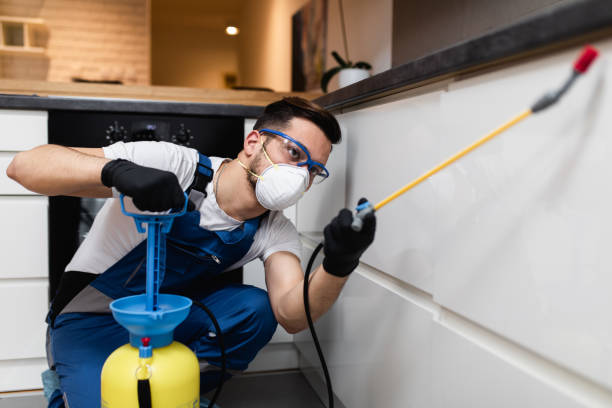 Best Local Pest Control Services  in Elizabethville, PA