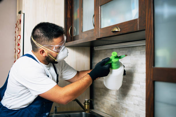 Best Cockroach Control Services  in Elizabethville, PA
