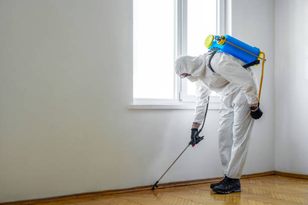 Wasp Removal Services in Elizabethville, PA