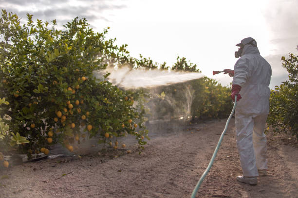 Insect Control in Elizabethville, PA