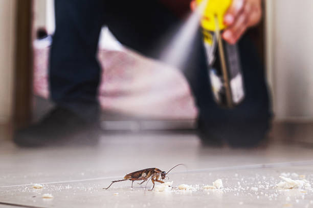 Best Commercial Pest Control Services  in Elizabethville, PA