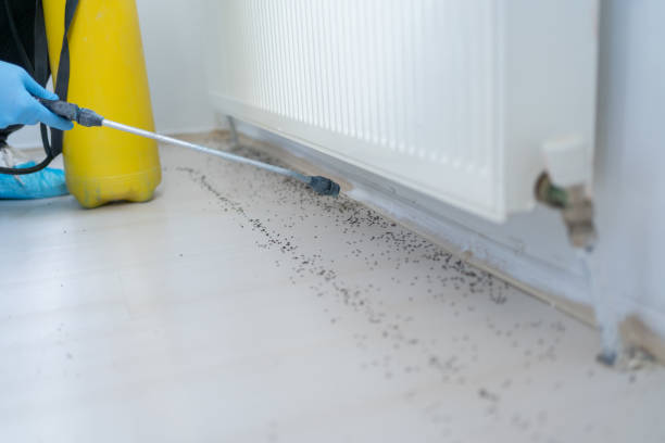 Best Flea Control Services  in Elizabethville, PA