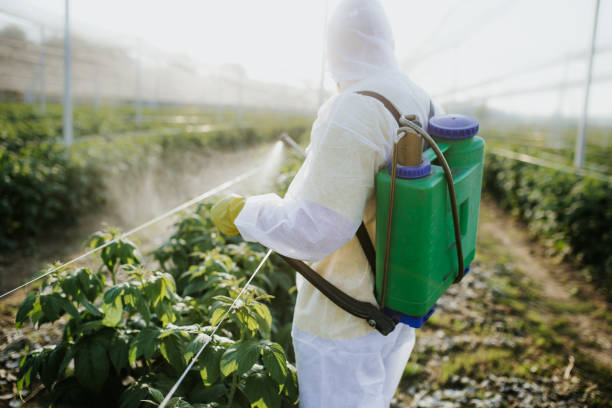 Best Cockroach Control Services  in Elizabethville, PA